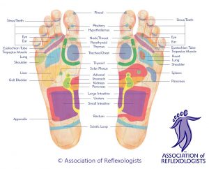 footmap-plantar